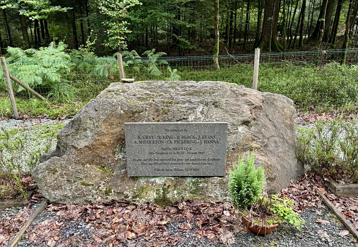 Cirucit_Halifax___MTFSH_TEXTO_Pascal_Willems_25