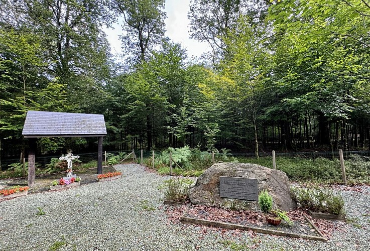 Cirucit_Halifax___MTFSH_TEXTO_Pascal_Willems_3