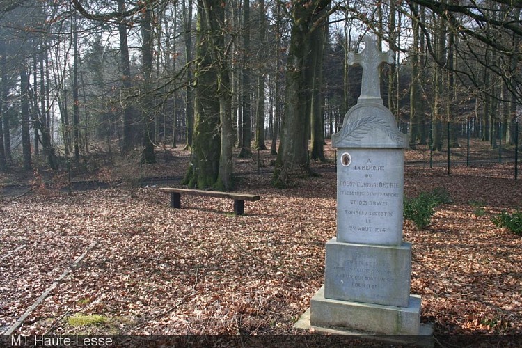 Croix Colonel Detrie (1914)