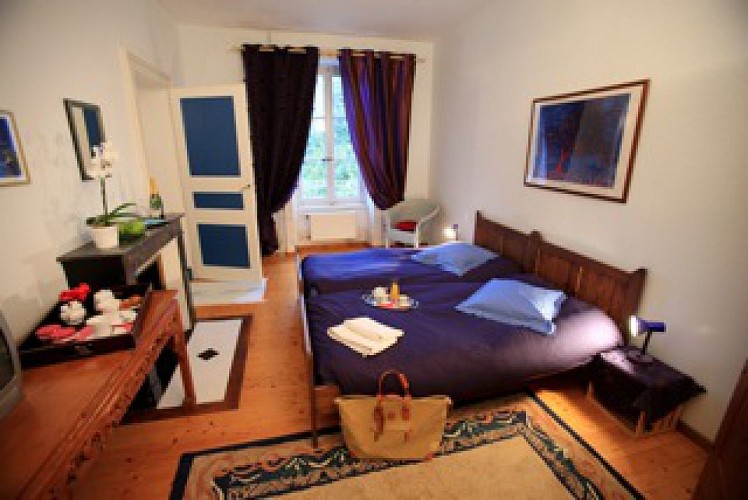 DOMAINE DU CHATEAU DE ROCHE SUR LINOTTE_2