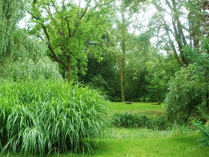 DOMAINE DU CHATEAU DE ROCHE SUR LINOTTE_4