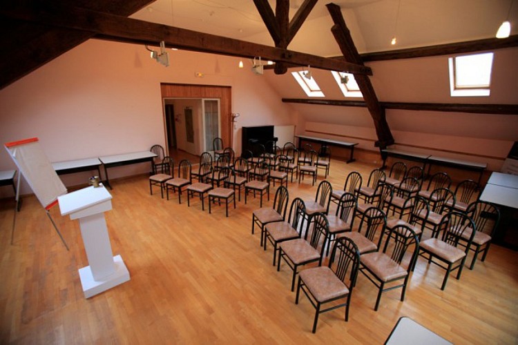 DOMAINE DU CHATEAU DE ROCHE SUR LINOTTE_10