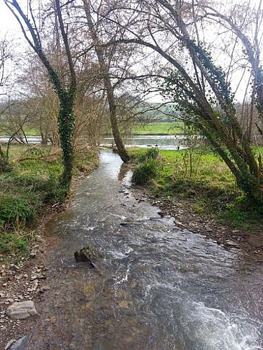 Vers le confluent du ruisseau de l'Aunay d'Ouffières