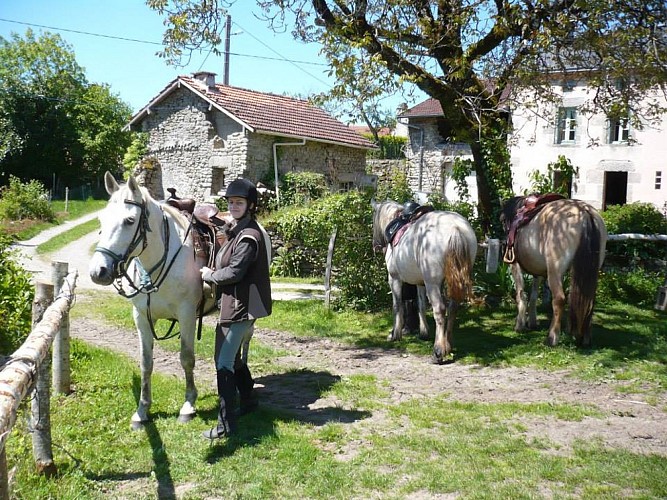 Centre équestre des Highlands Ferme des Highlands (3)