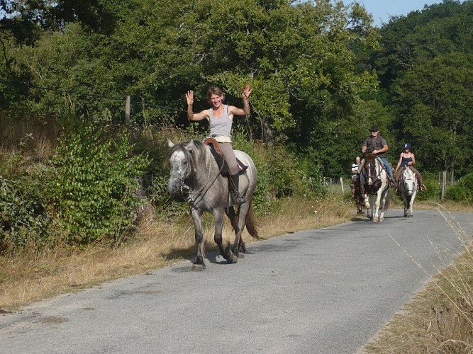 Centre équestre des Highlands 