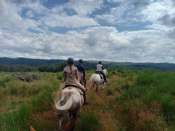 Centre équestre des Highlands