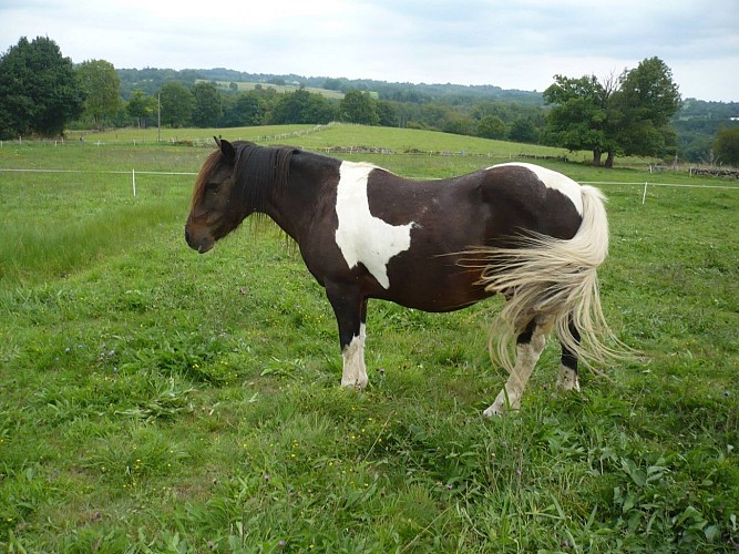 Centre équestre des Highlands 