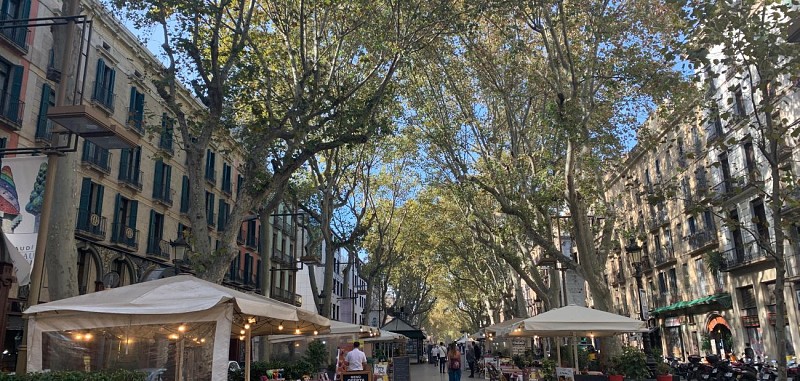 Visite guidée privée du Parc Güell et du quartier Gothique de Barcelone - En français