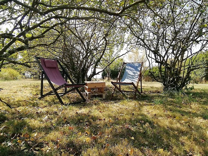 clesse-yourte-aux-deux-chevres-jardin