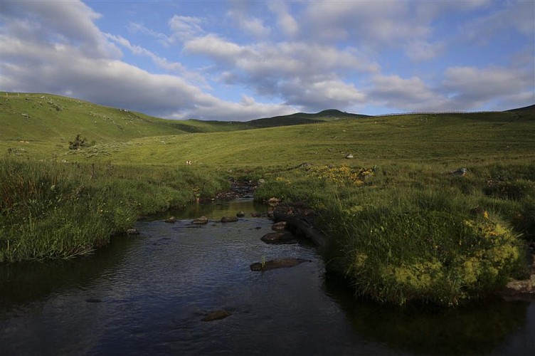 Plomb du Cantal et Col de Prat de Bouc