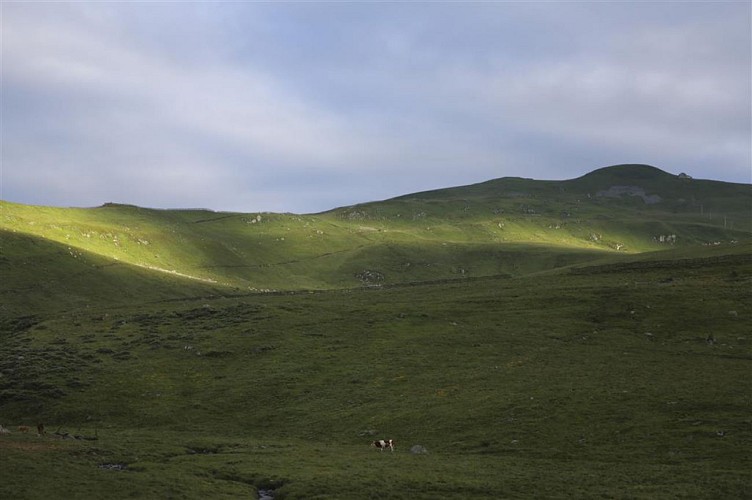 Plomb du Cantal et Col de Prat de Bouc