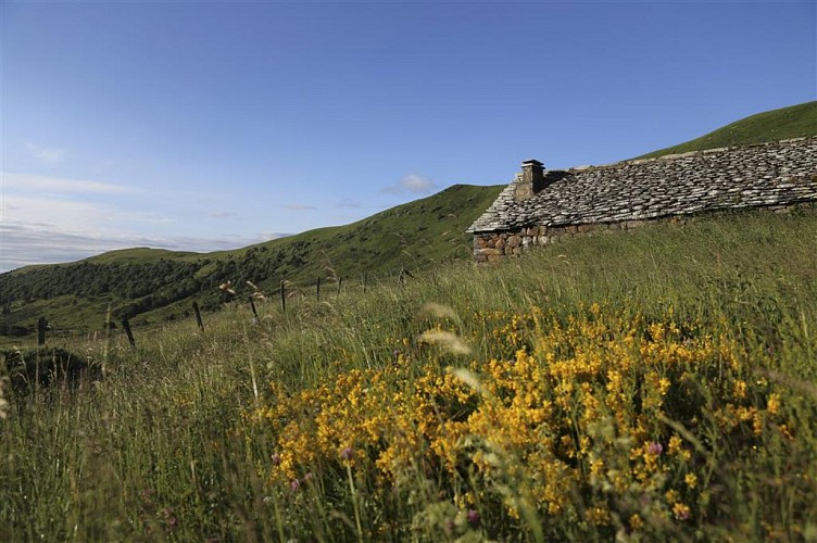 Plomb du Cantal et Col de Prat de Bouc