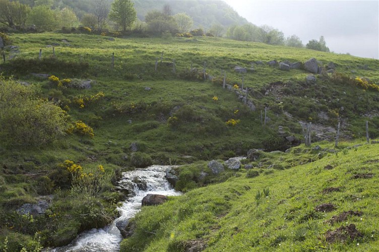 Plomb du Cantal et Col de Prat de Bouc