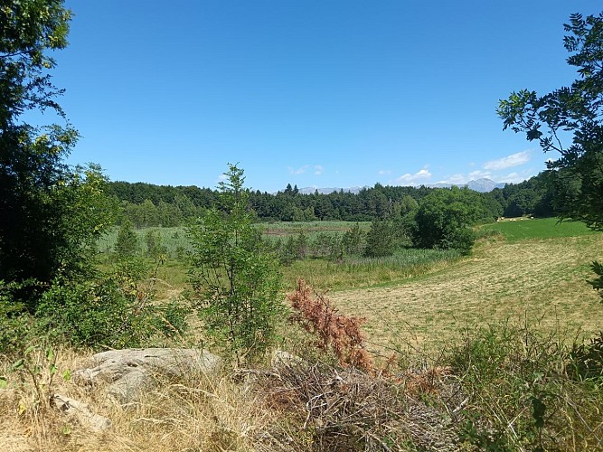 Le Lac de Saint-Léger
