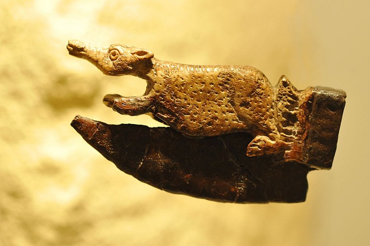 Le musée de Rauranum à Rom