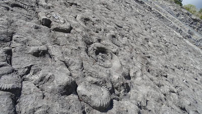 UNESCO Geopark di Alta Provenza