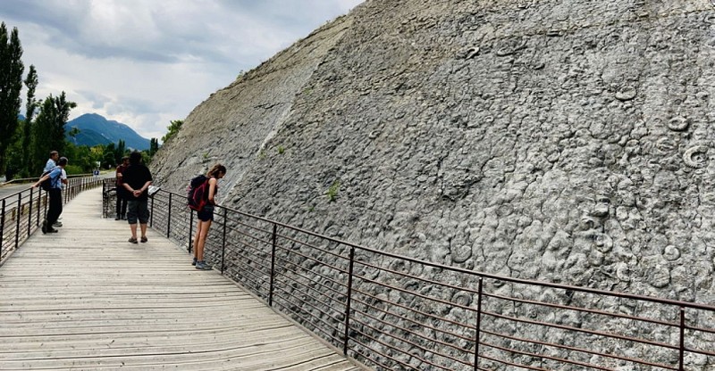 La dalle aux ammonites