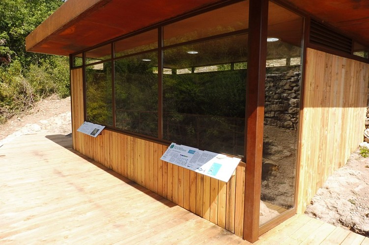 L'Ichtyosaure de La Robine