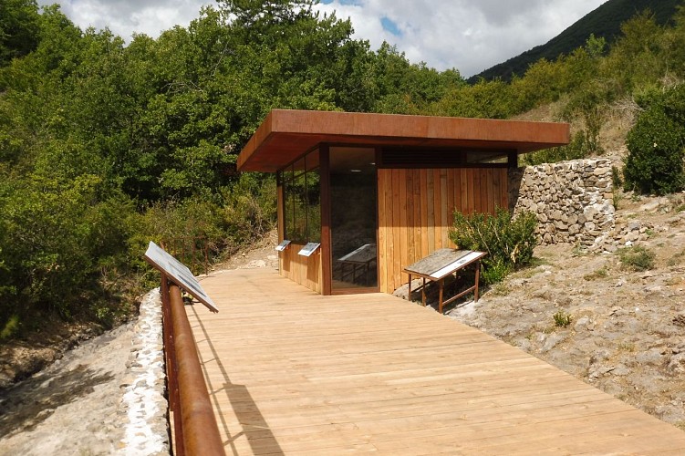 L'Ichtyosaure de La Robine