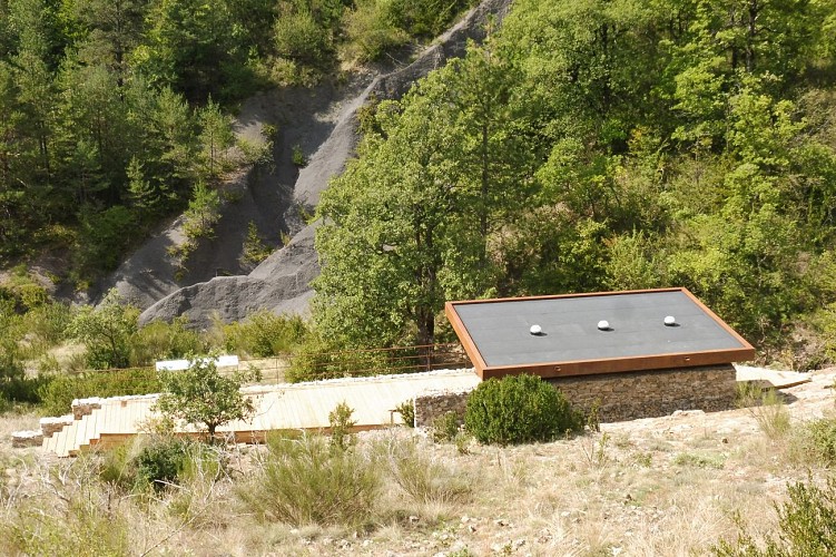 L'Ichtyosaure de La Robine