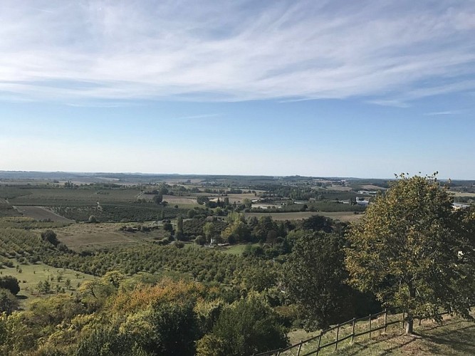 Cancon_Point de vue (2018) (800x600)