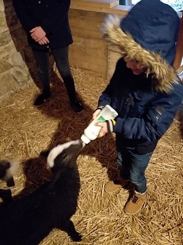 Ferme pédagogique le Moulin du Rouveau_Oizé