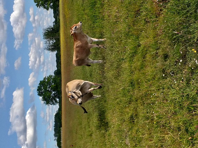 Ferme pédagogique le Moulin du Rouveau_Oizé