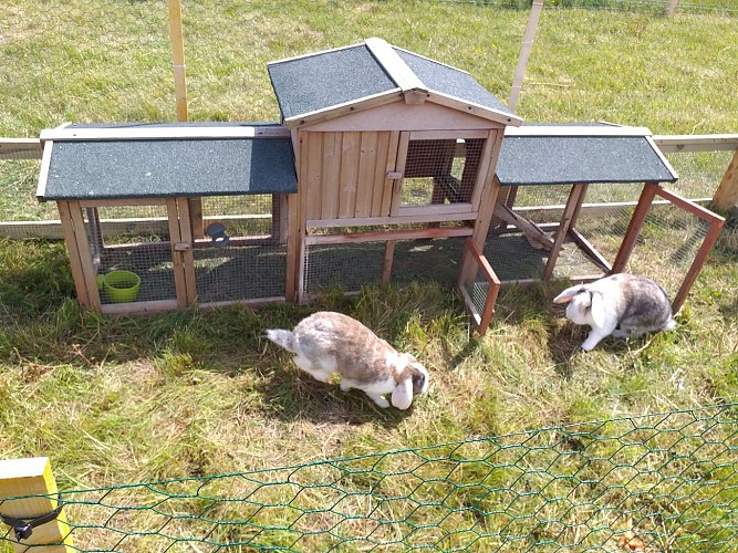 Ferme pédagogique le Moulin du Rouveau_Oizé