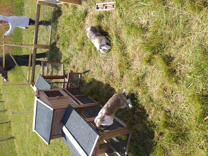 Ferme pédagogique le Moulin du Rouveau_Oizé