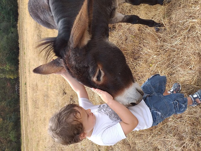 Ferme pédagogique le Moulin du Rouveau_Oizé