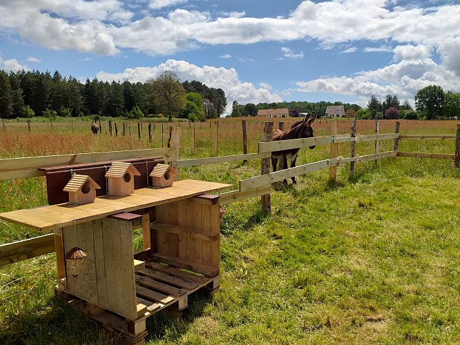 Ferme pédagogique le Moulin du Rouveau_Oizé