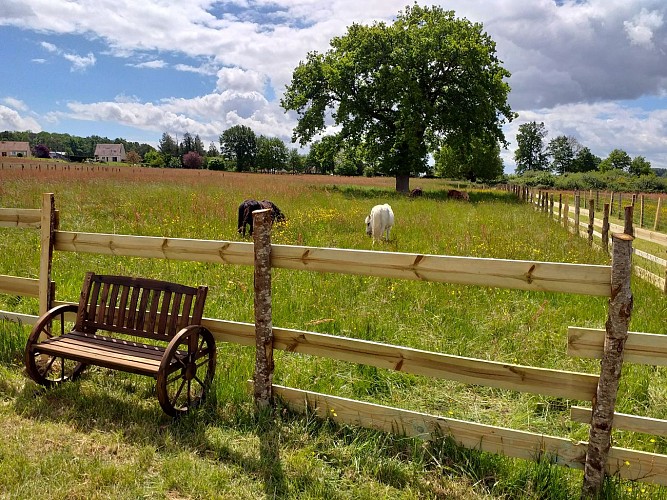 Ferme pédagogique le Moulin du Rouveau_Oizé