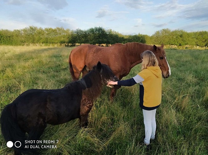 Ferme pédagogique le Moulin du Rouveau_Oizé