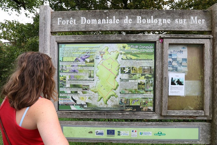 Forêt Domaniale de Boulogne-sur-Mer