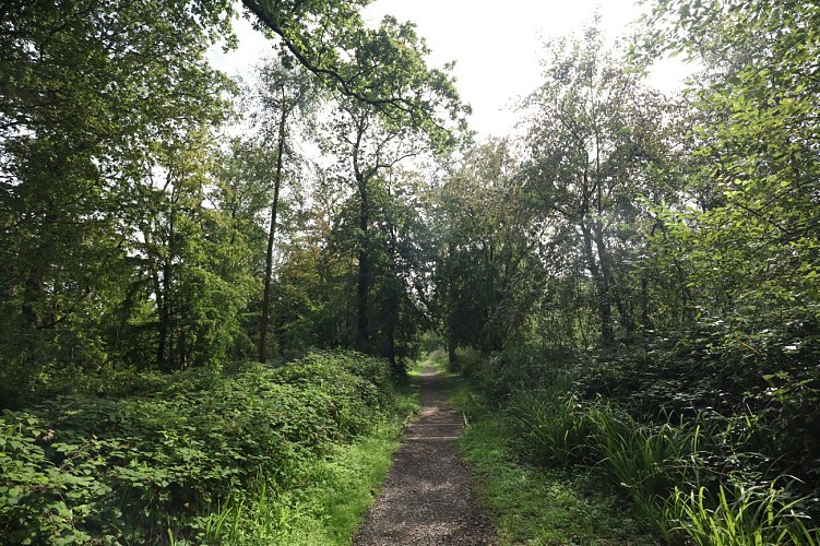 Forêt Domaniale de Boulogne-sur-Mer