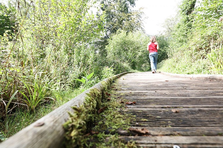 Forêt Domaniale de Boulogne-sur-Mer