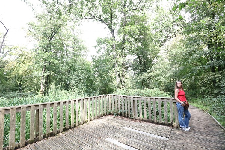 Forêt Domaniale de Boulogne-sur-Mer