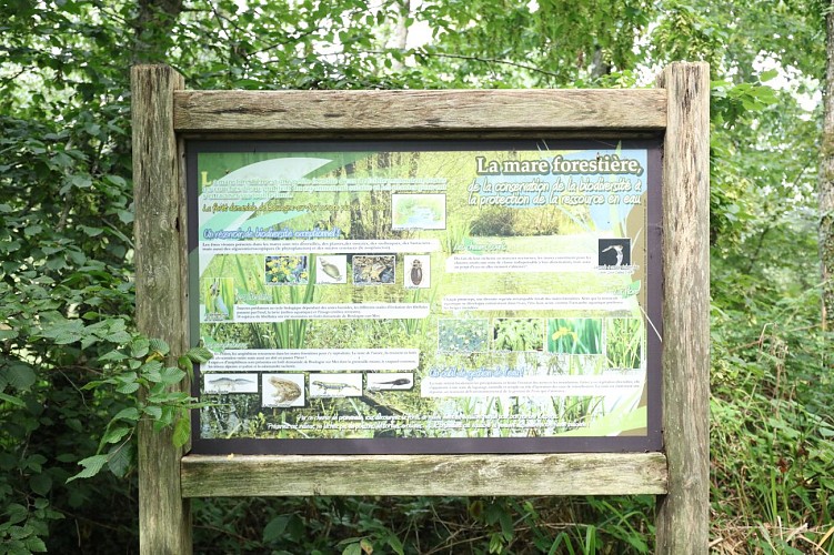 Forêt Domaniale de Boulogne-sur-Mer