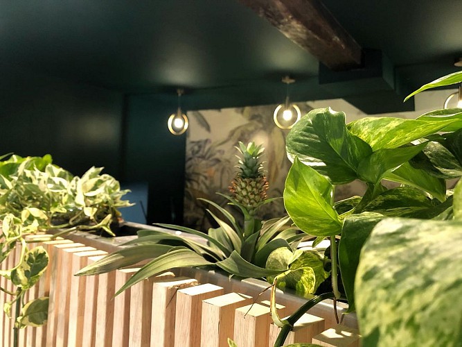 124986297_120195496556409_1132304501182952676_n