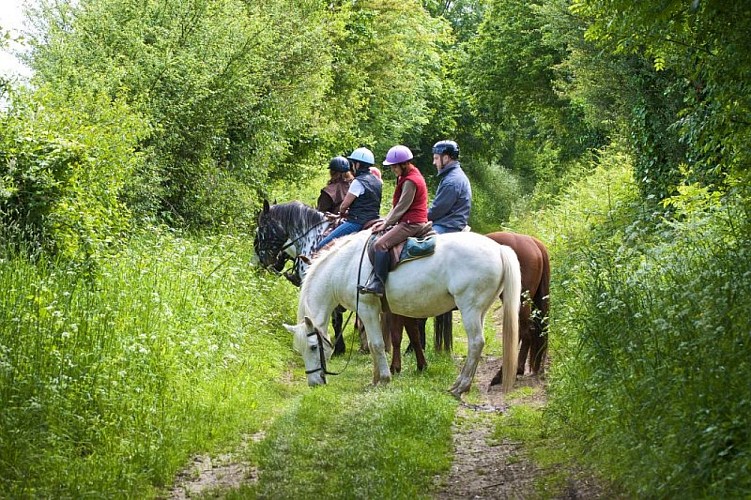 RANDONNEES EQUESTRES - CENTRE EQUESTRE DE PORNIC