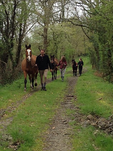 RANDONNEES EQUESTRES - CENTRE EQUESTRE DE PORNIC