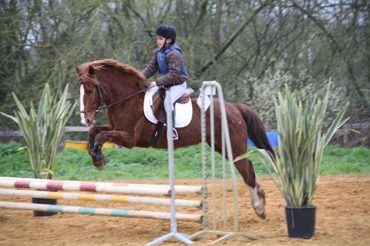 STAGE D'EQUITATION - CENTRE EQUESTRE DE PORNIC