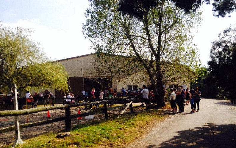 STAGE D'EQUITATION - CENTRE EQUESTRE DE PORNIC
