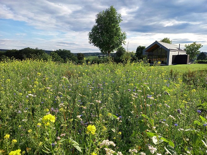 Hunningen b b level 600 c level600 3