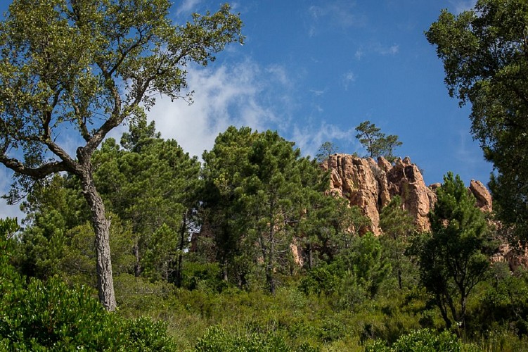 Gorges du Blavet