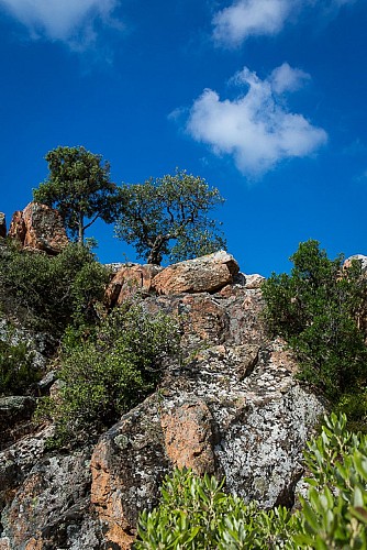 Gorges du Blavet