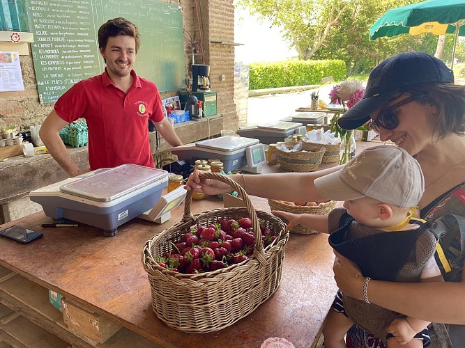 OT Muret - PRODUCTEUR TERRADOC Fraises