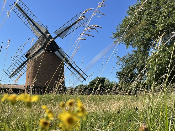 OT Muret - Patrimoine Moulin St Lys