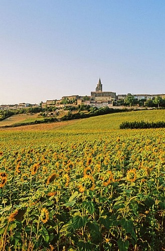 BUREAU D'INFORMATION TOURISTIQUE DE SAINT FELIX LAURAGAIS