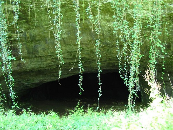 Grotte de la Baume Noire